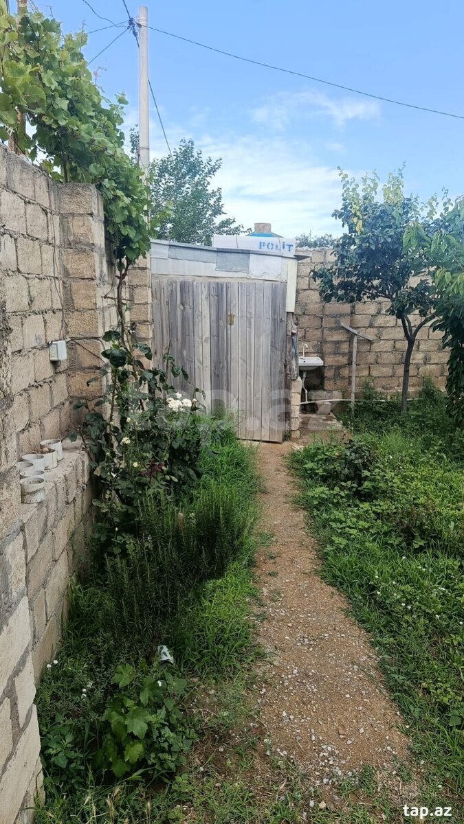 3 sot torpaq sahəsi, Qobu qəs. (5)