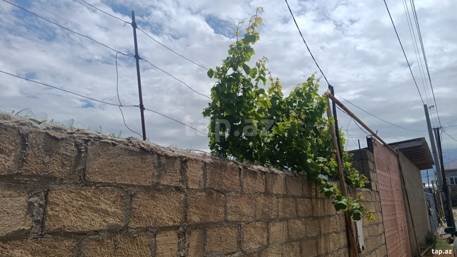 3 sot torpaq sahəsi, Qobu qəs. (10)