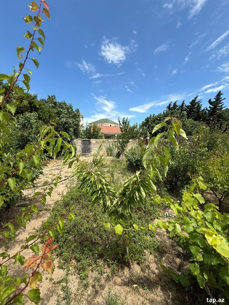 Bağ evi, Albalı qəs. (2)