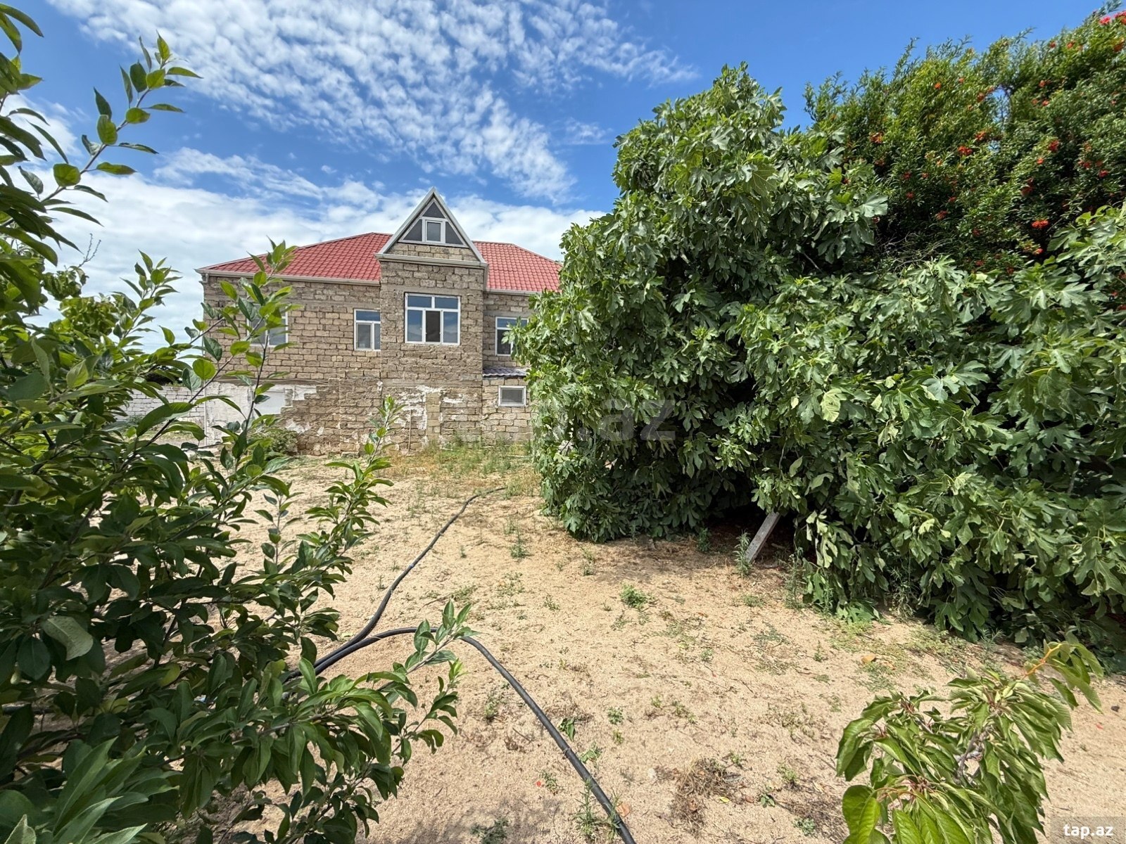 Bağ evi, Albalı qəs. (3)