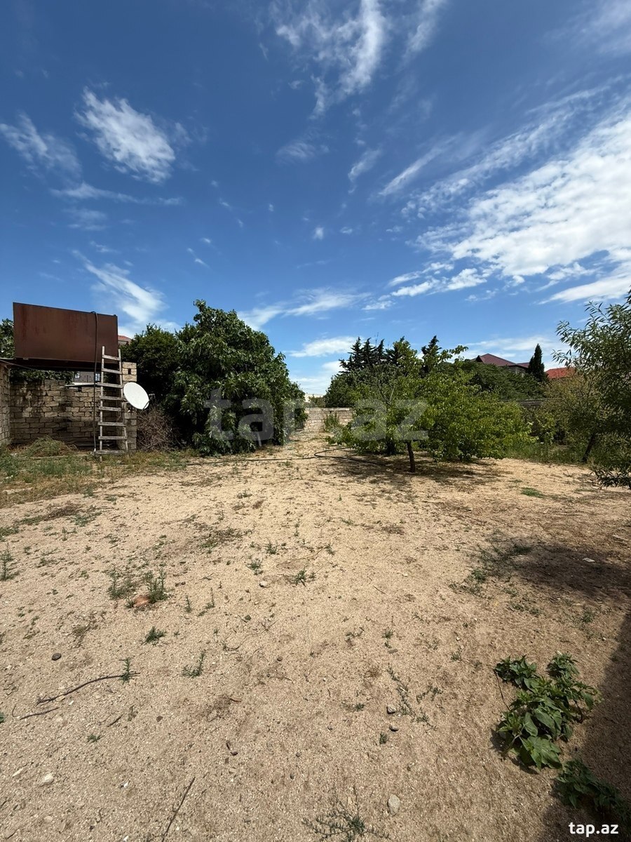 Bağ evi, Albalı qəs. (9)