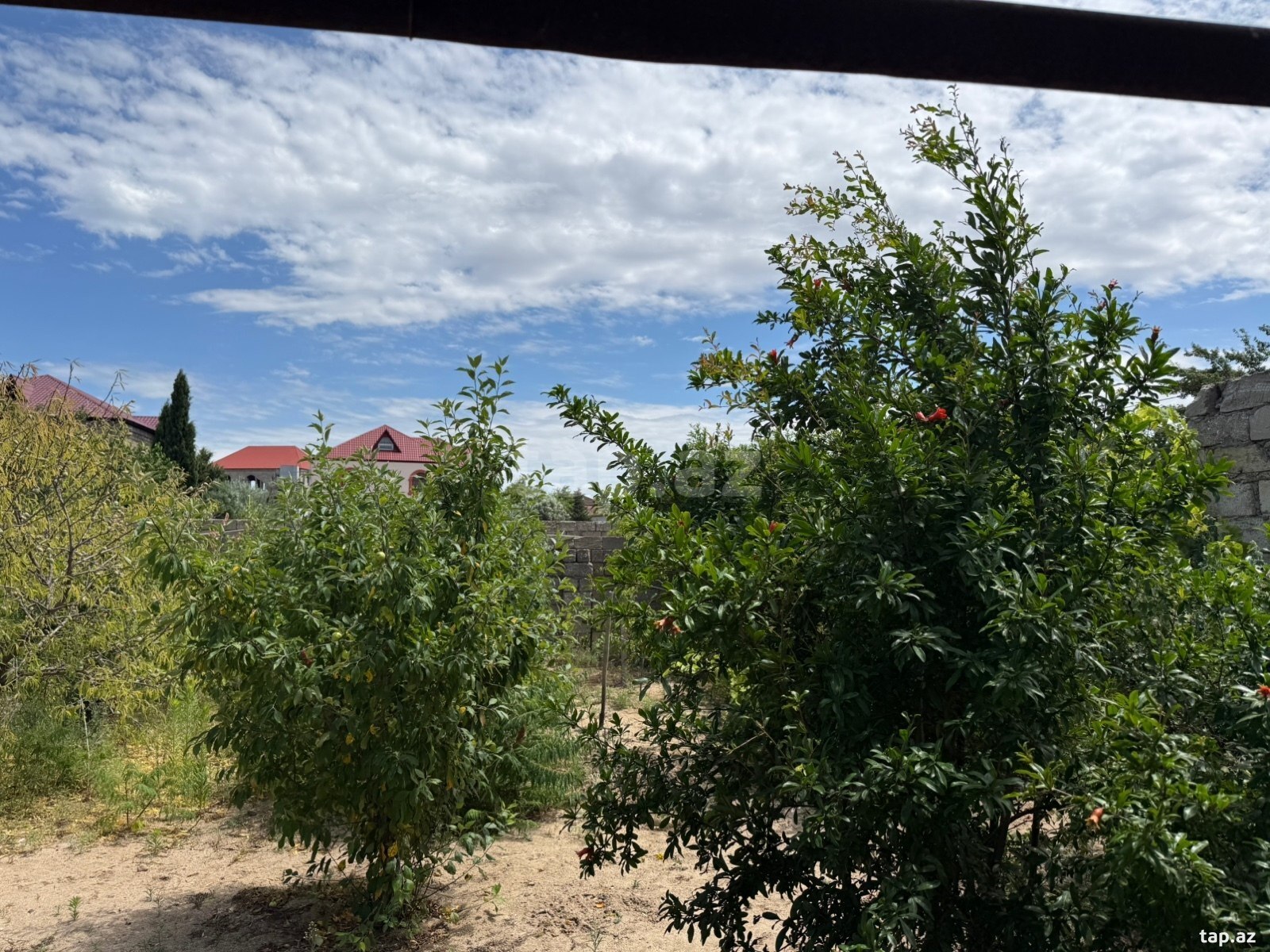 Bağ evi, Albalı qəs. (5)