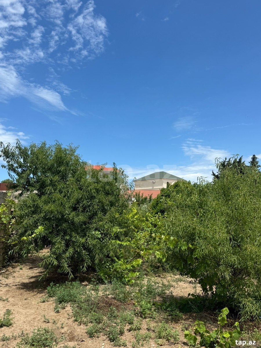 Bağ evi, Albalı qəs. (7)