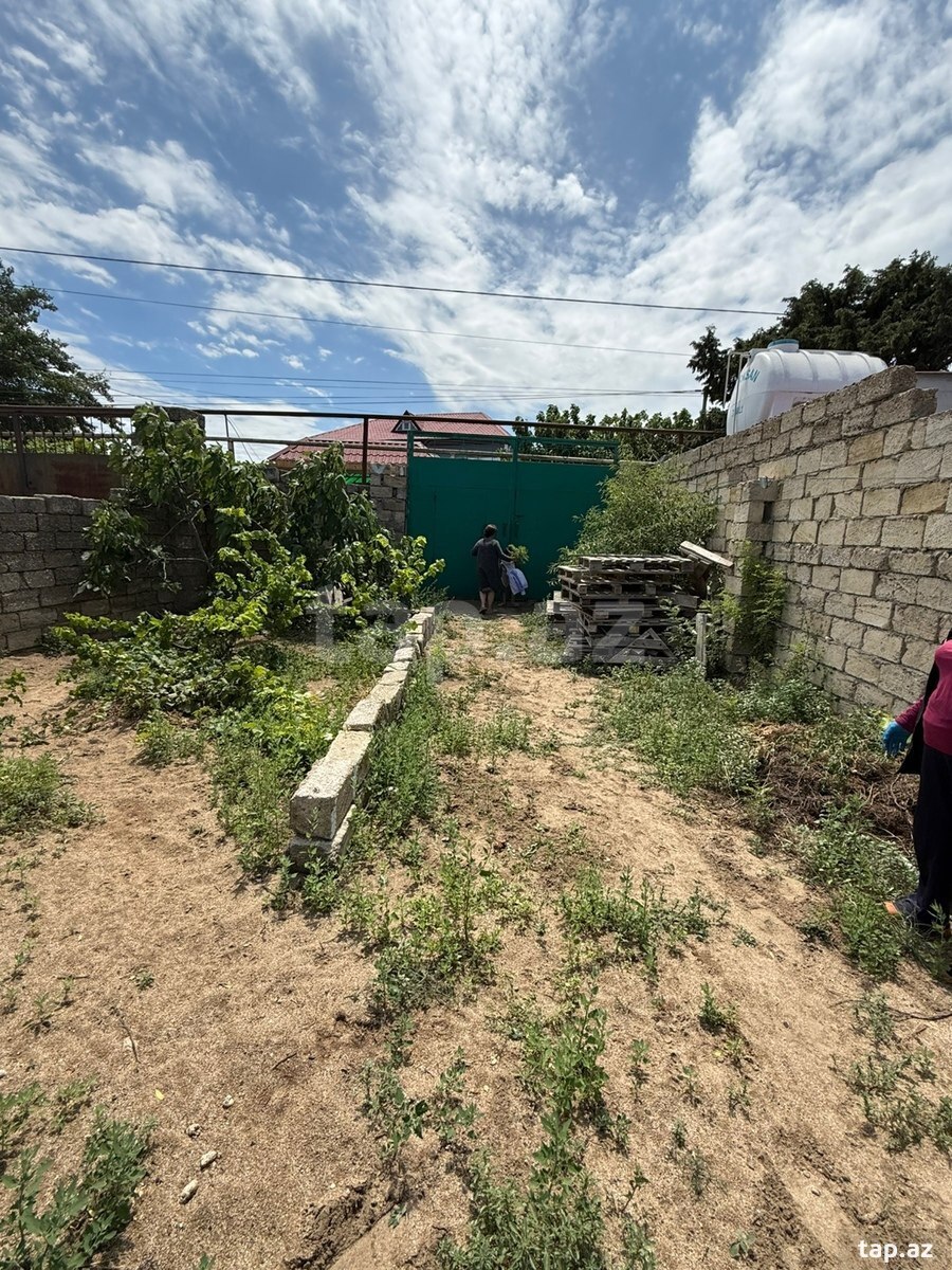 Bağ evi, Albalı qəs. (8)