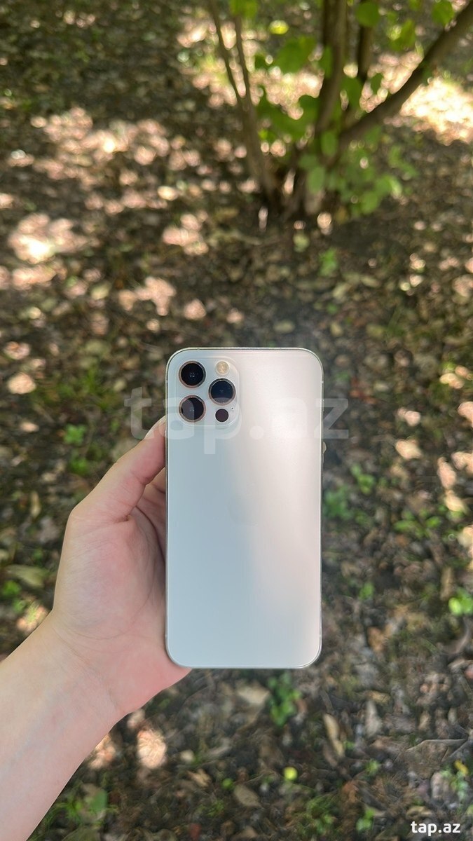 Apple iPhone 12 Pro Silver 256GB/6GB