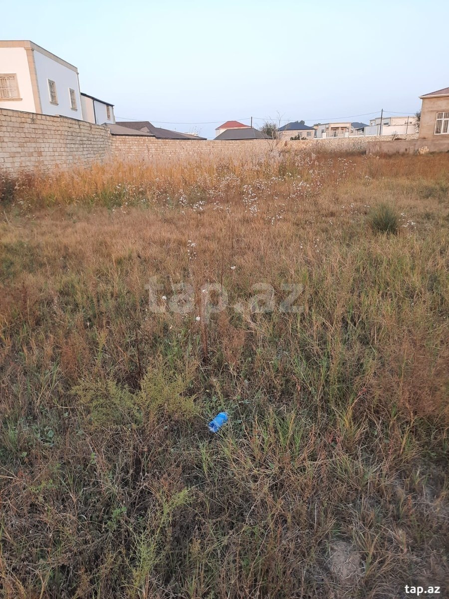 33 sot torpaq sahəsi, Nardaran qəs. (5)