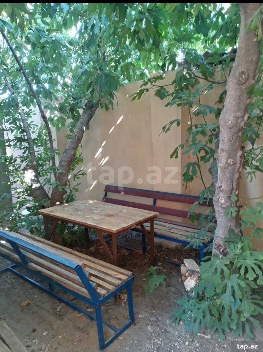 Bağ evi kirayə verilir, Novxanı qəs. (12)