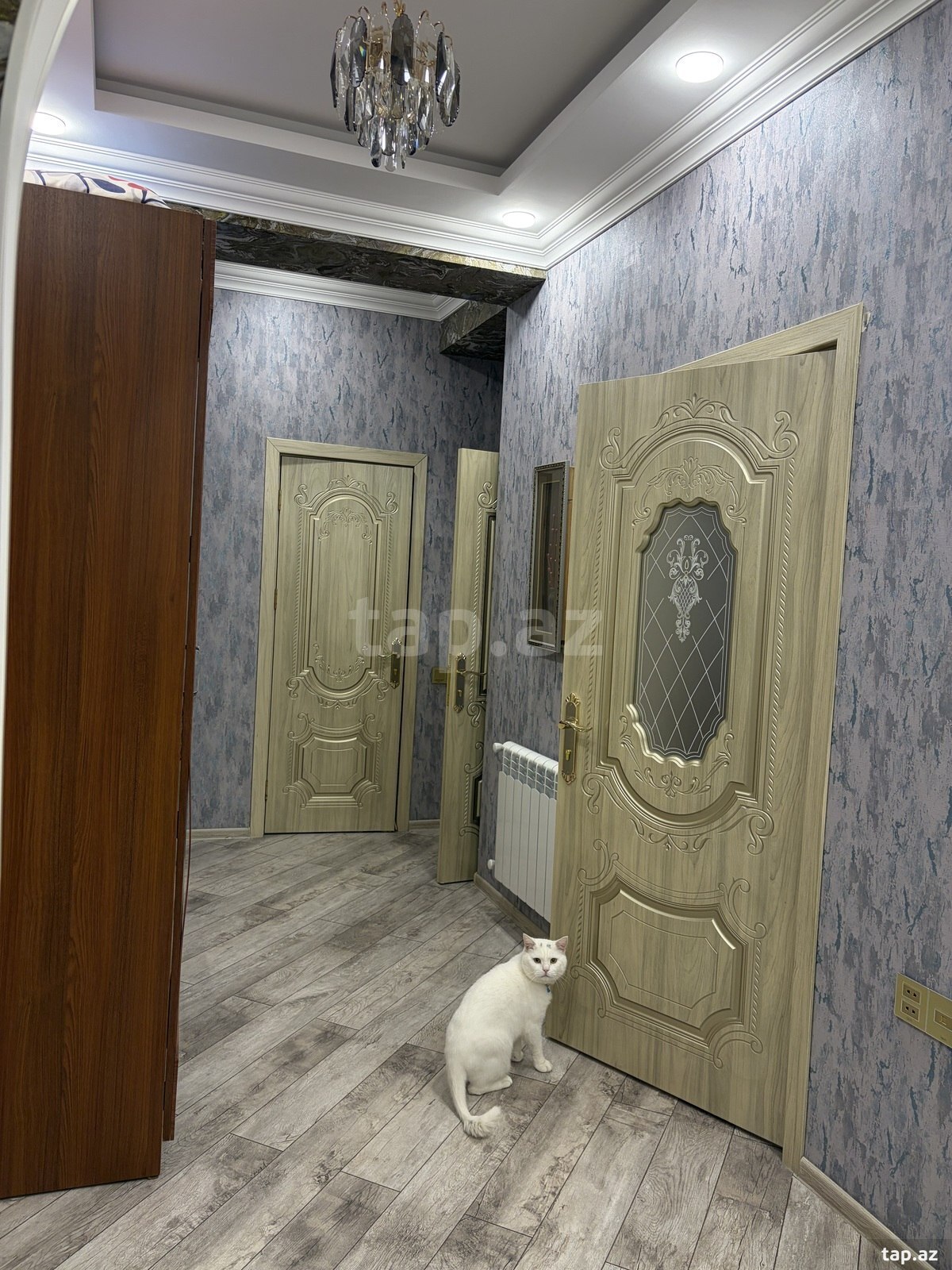 2-otaqlı yeni tikili kirayə verilir, N.Nərimanov r., 90 m² (8)