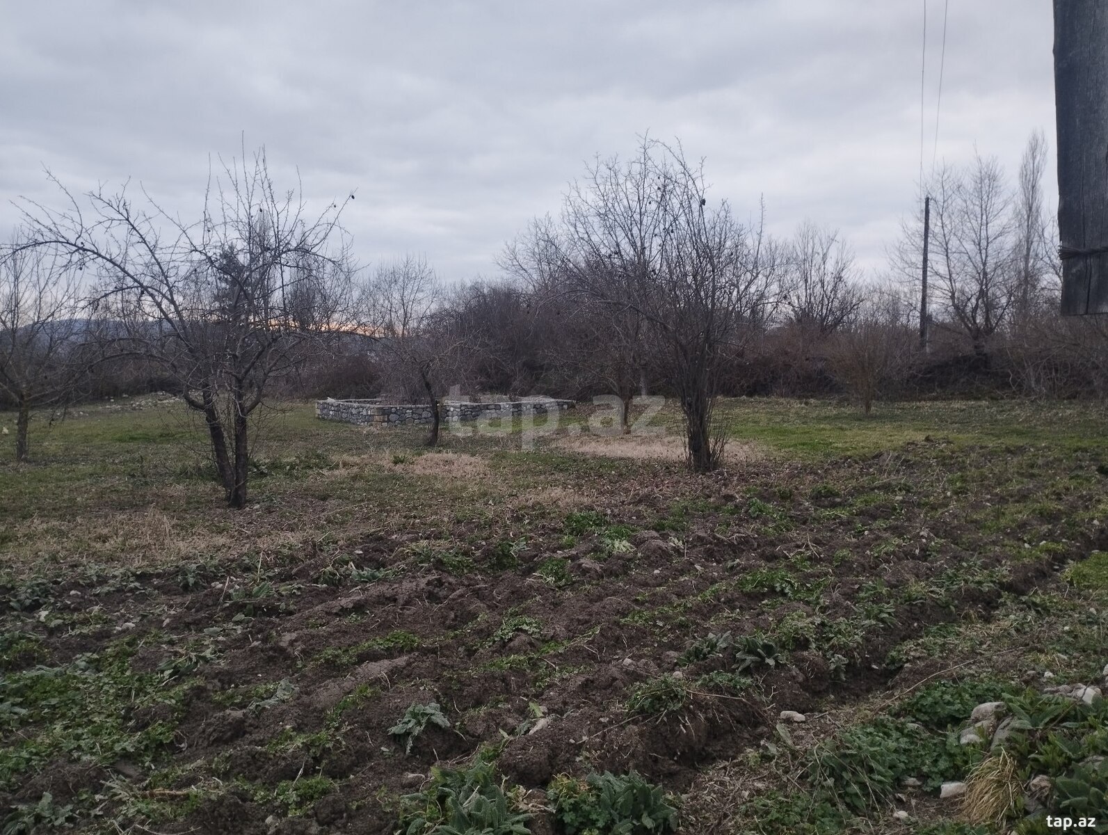 50 sot torpaq sahəsi, Qəbələ r. (10)