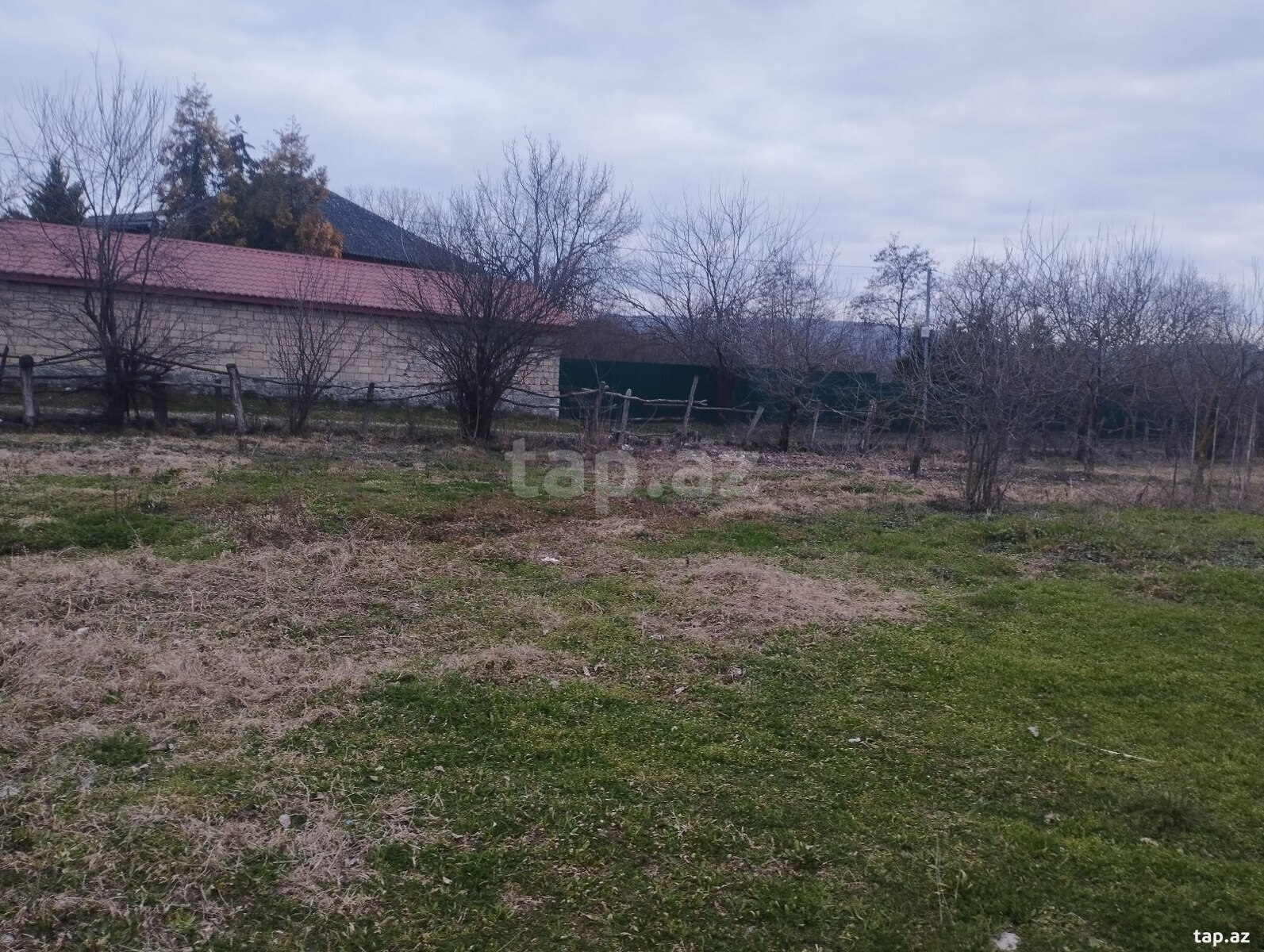 50 sot torpaq sahəsi, Qəbələ r. (13)