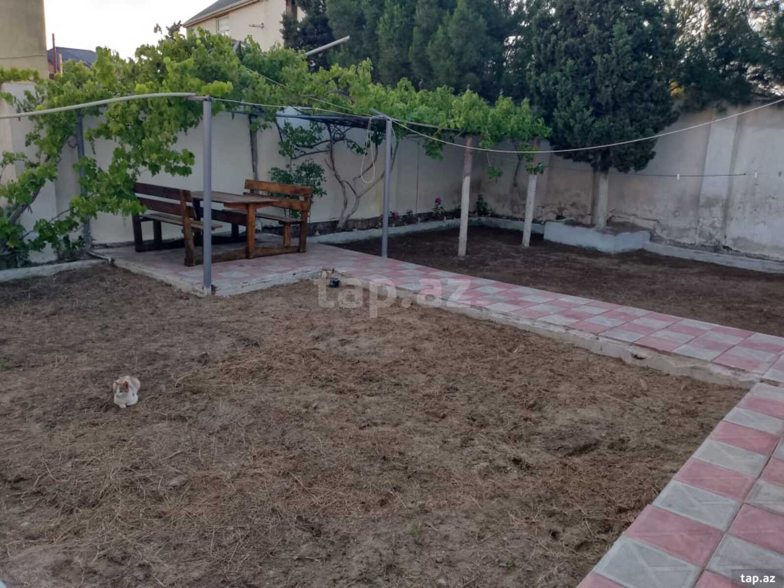 Bağ evi kirayə verilir, Pirşağı qəs.