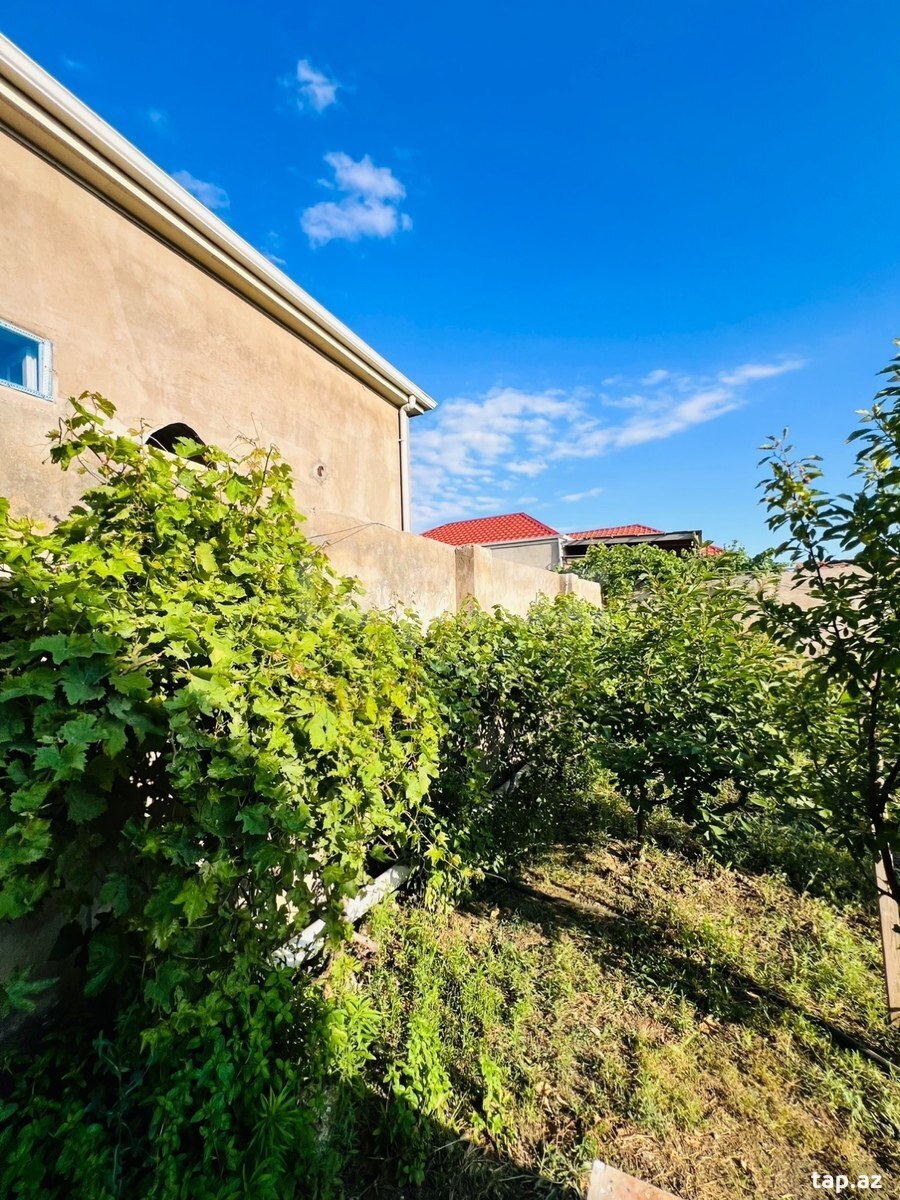 Həyət evi, Pirşağı qəs. (10)
