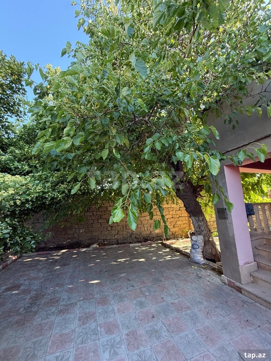 Həyət evi, Hövsan qəs. (13)