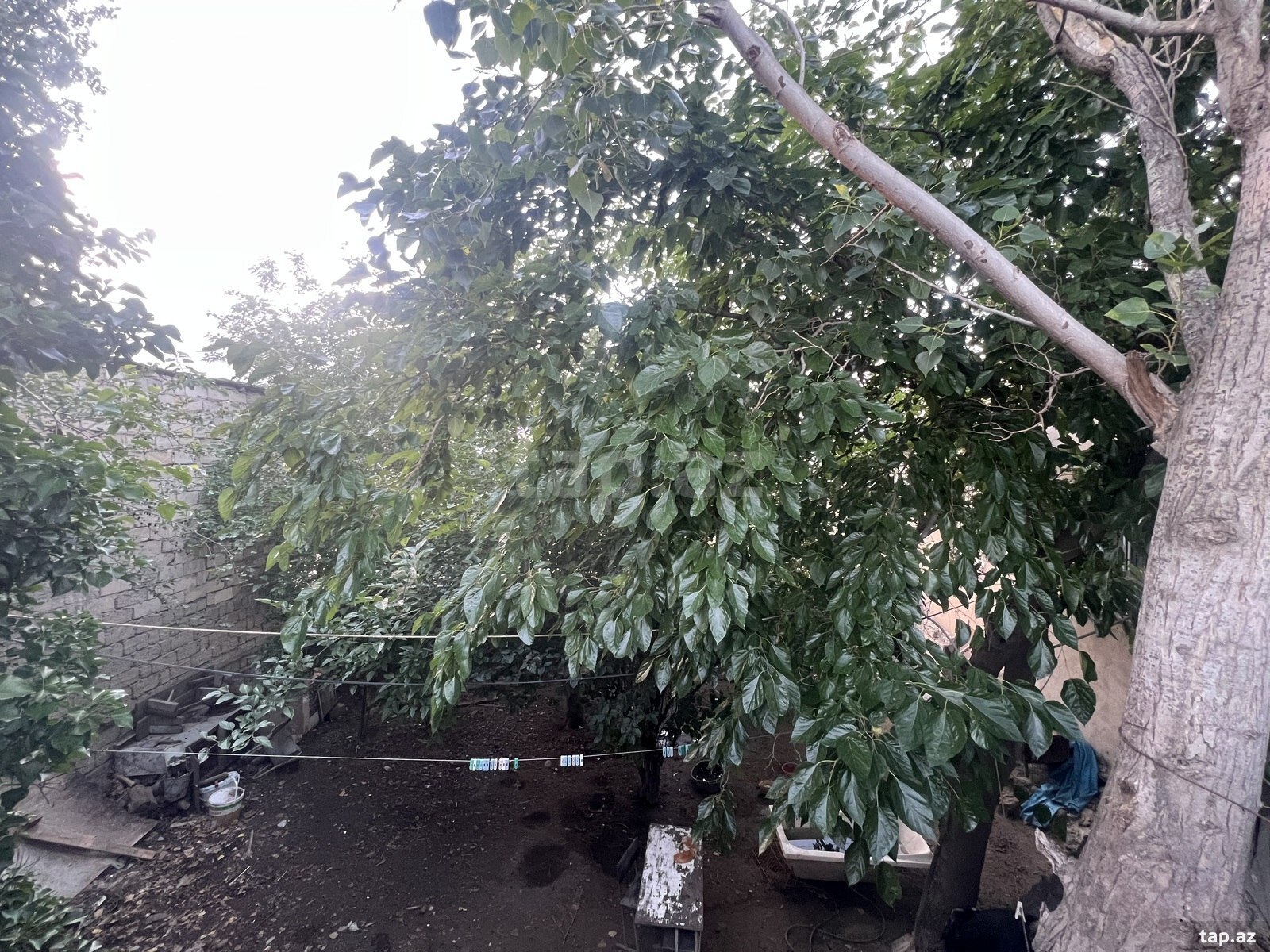 2.5 sot torpaq sahəsi, Binəqədi r. (4)