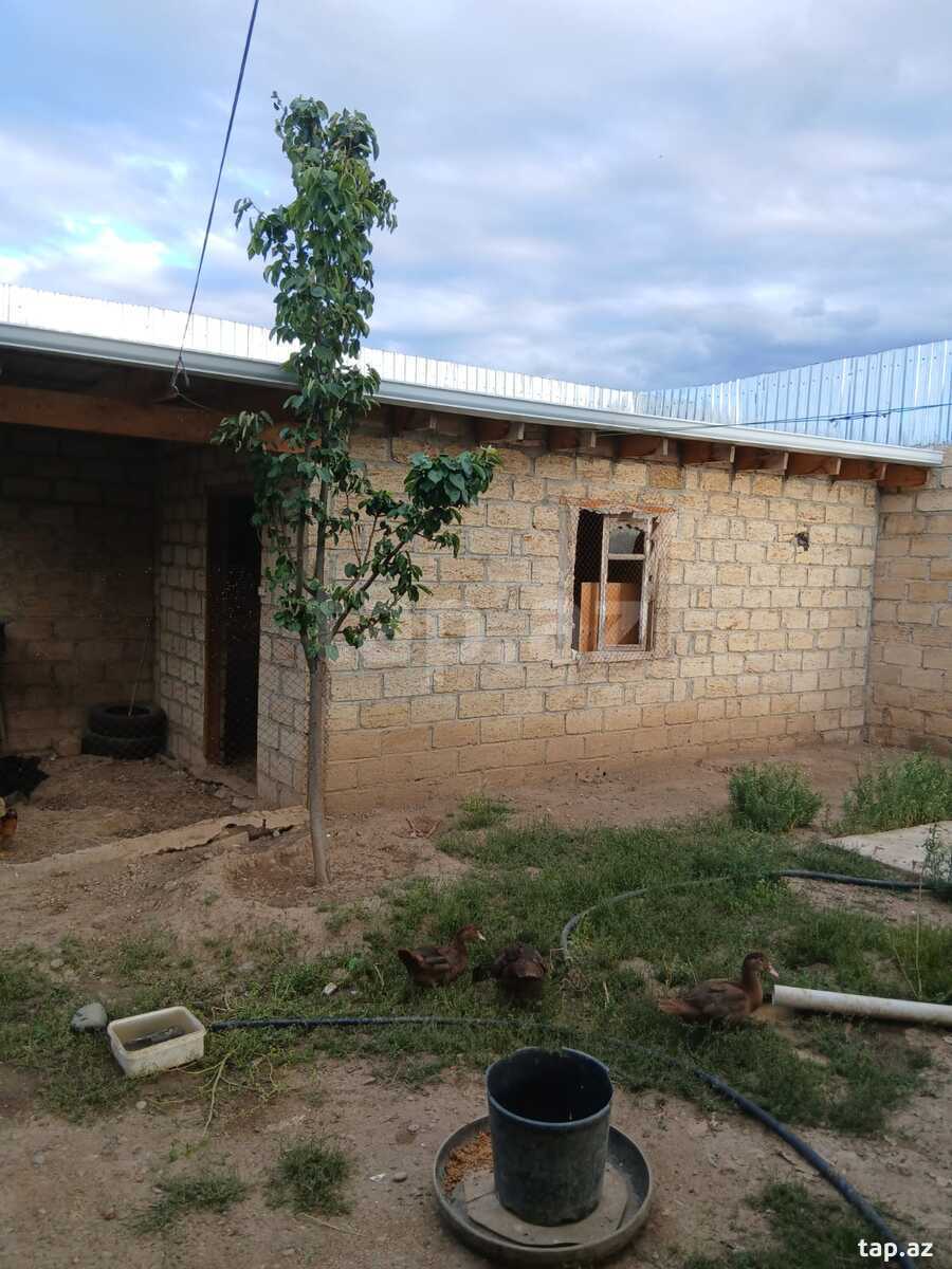 Həyət evi, Gəncə ş. (8)