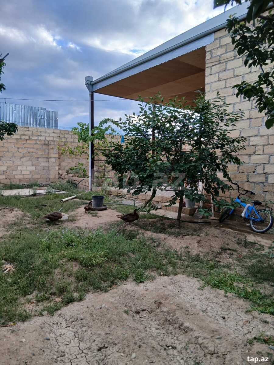 Həyət evi, Gəncə ş. (16)