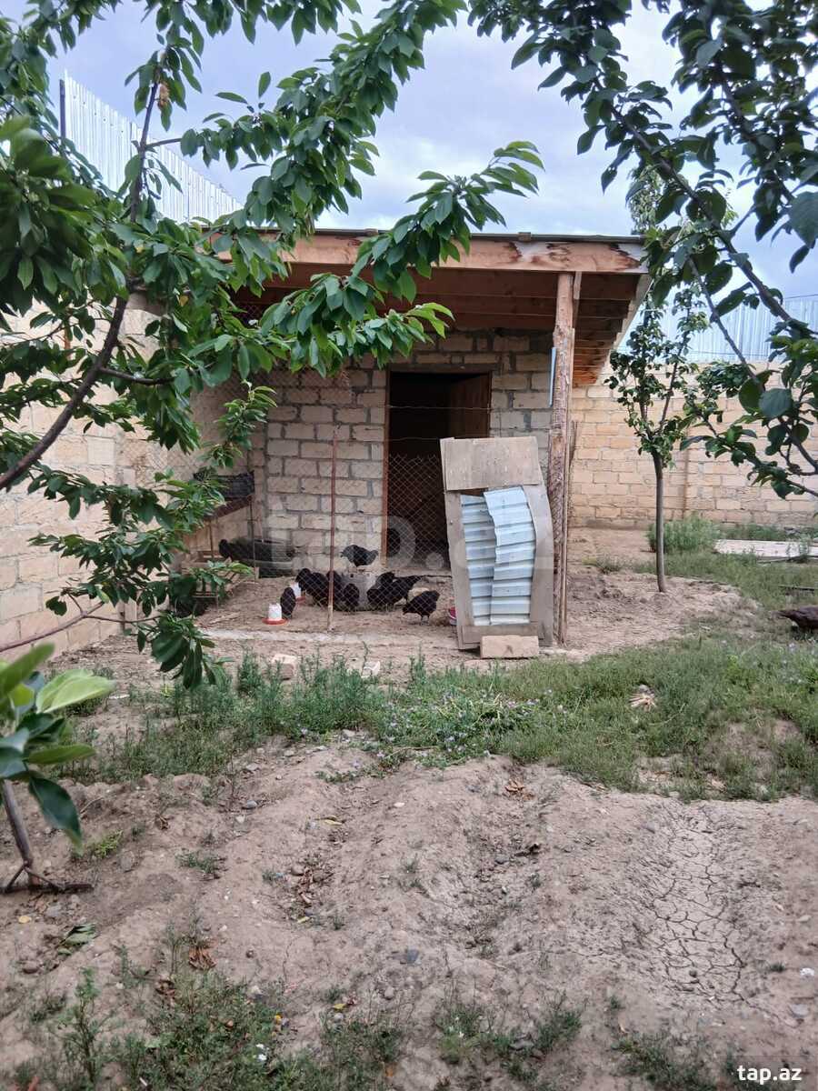 Həyət evi, Gəncə ş. (13)