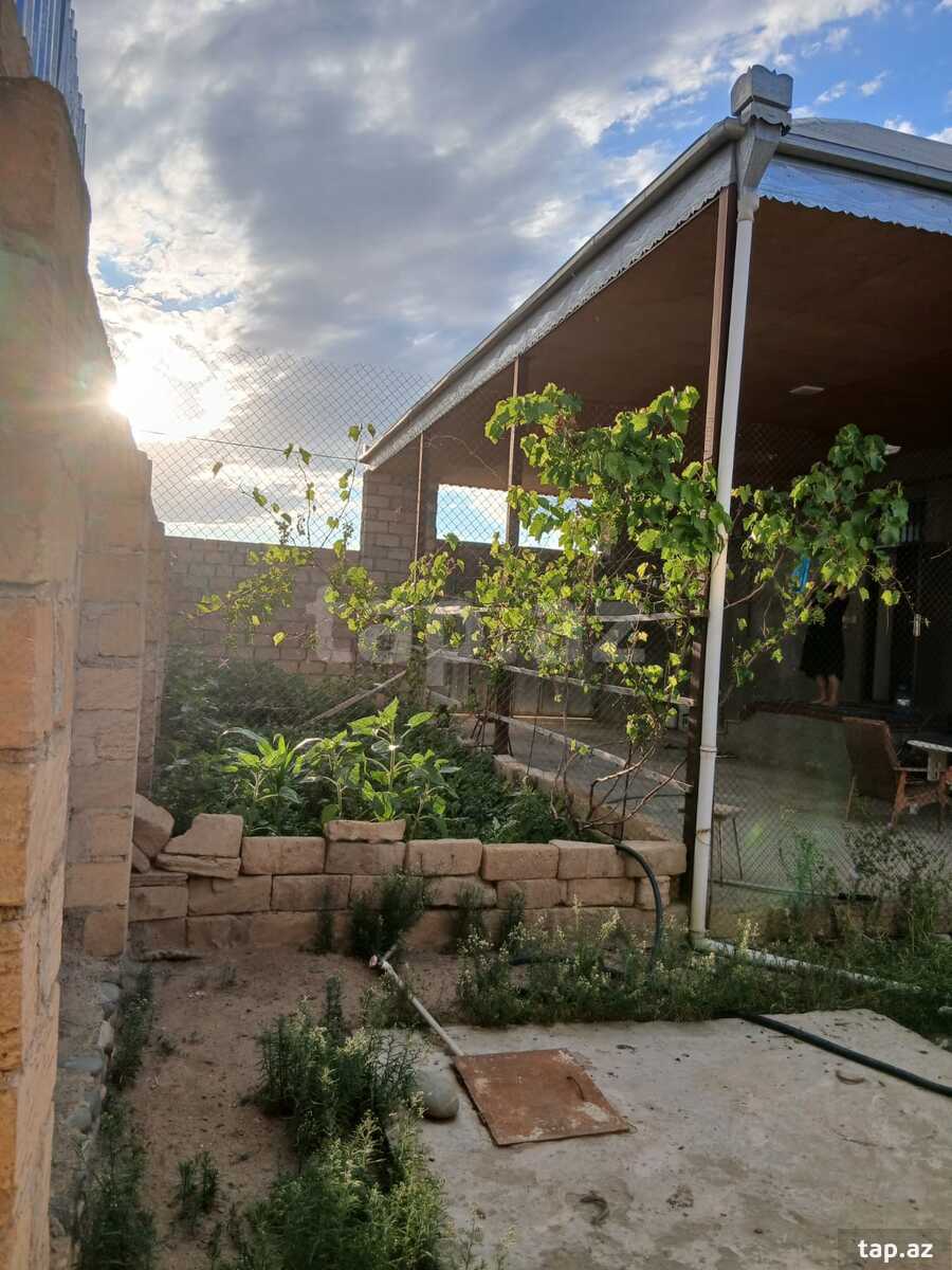 Həyət evi, Gəncə ş. (29)