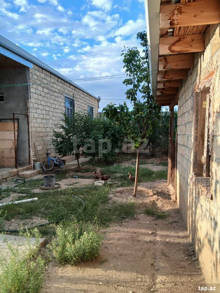 Həyət evi, Gəncə ş. (32)
