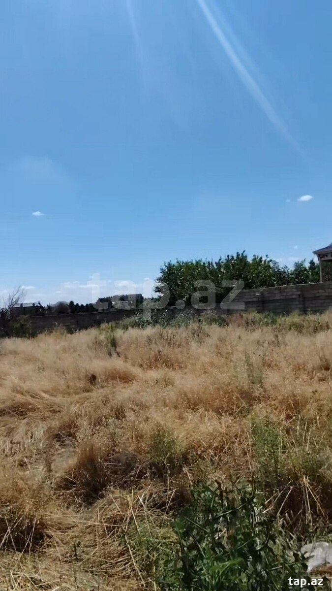 3 sot torpaq sahəsi, Şirvan ş.