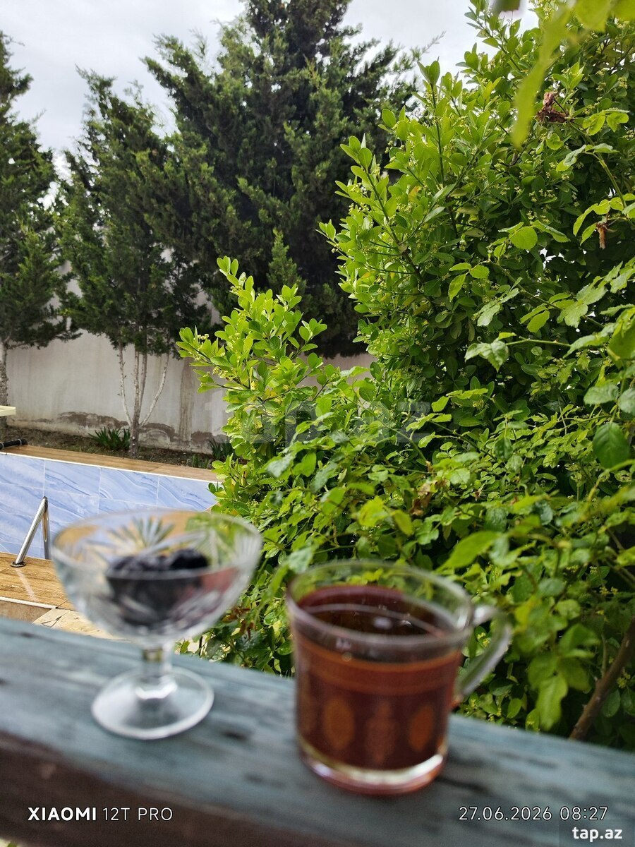 Bağ evi kirayə verilir, Görədil bağları (9)