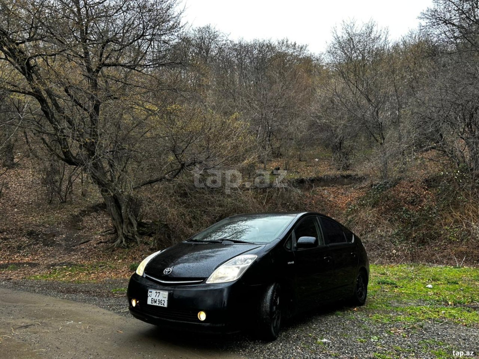 Toyota Prius, 2008 il (2)