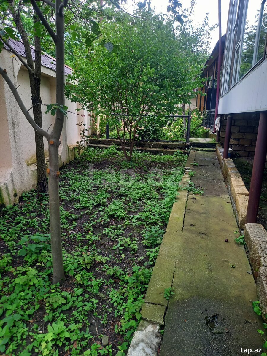 Həyət evi, Qəbələ r. (3)
