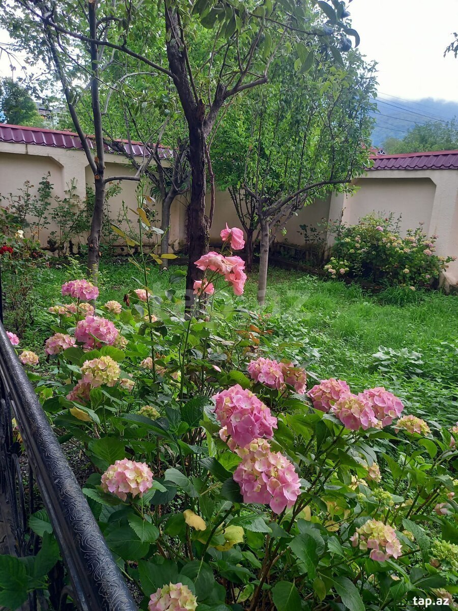Həyət evi, Qəbələ r. (4)