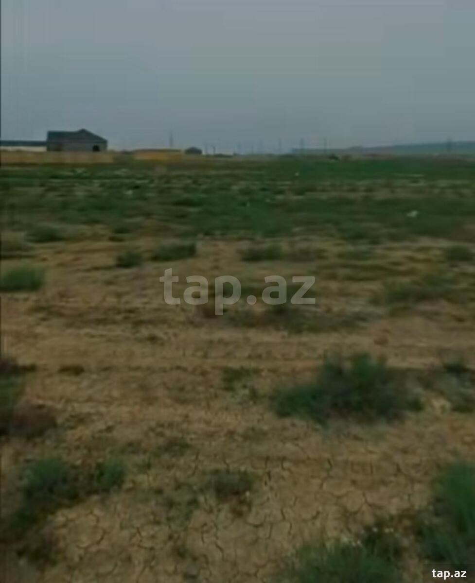 6 sot torpaq sahəsi, Şirvan ş.
