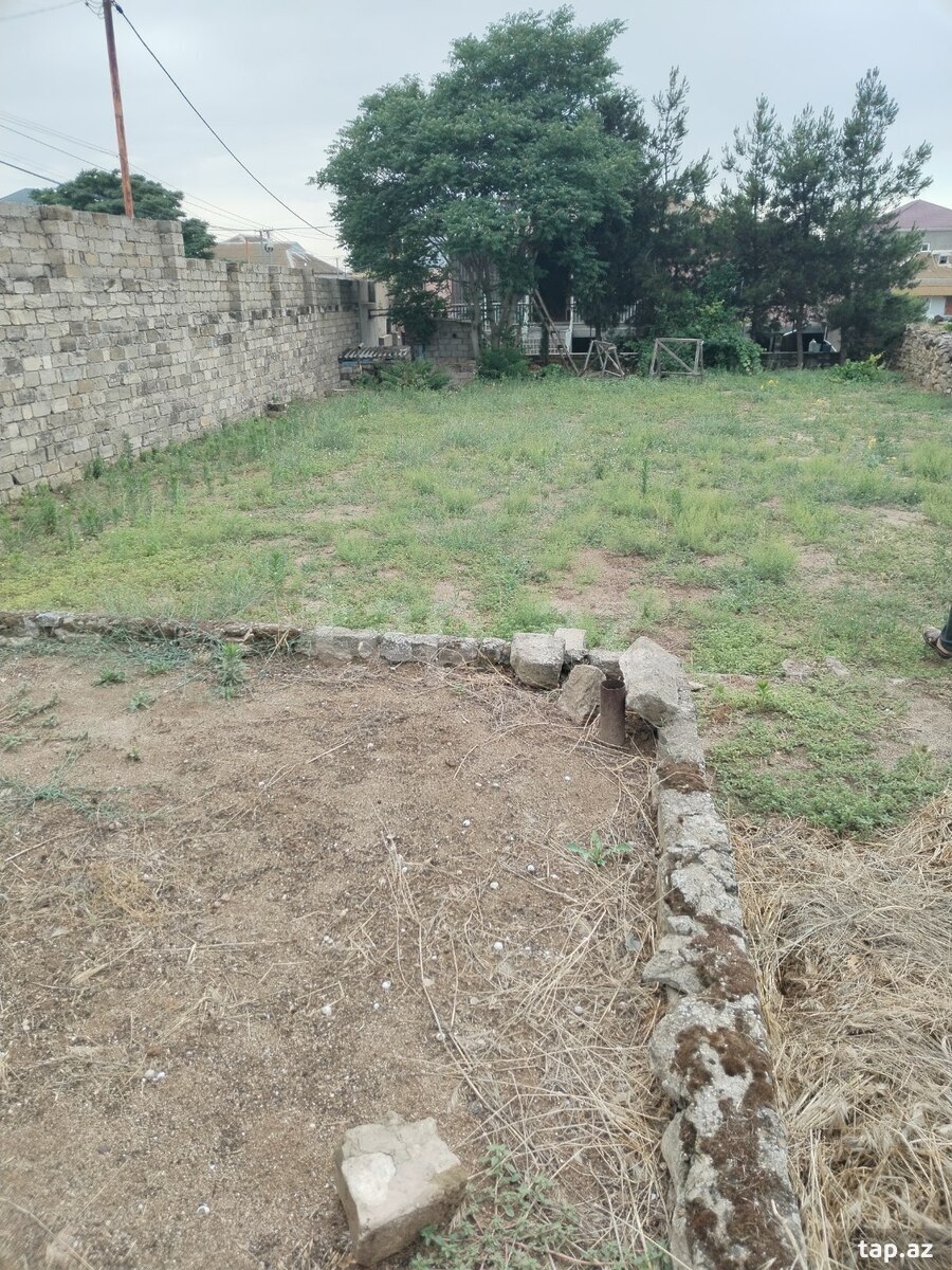 7 sot torpaq sahəsi, Bilgəh qəs. (3)
