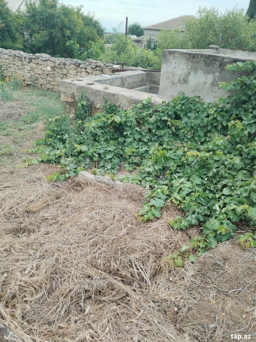 7 sot torpaq sahəsi, Bilgəh qəs. (2)