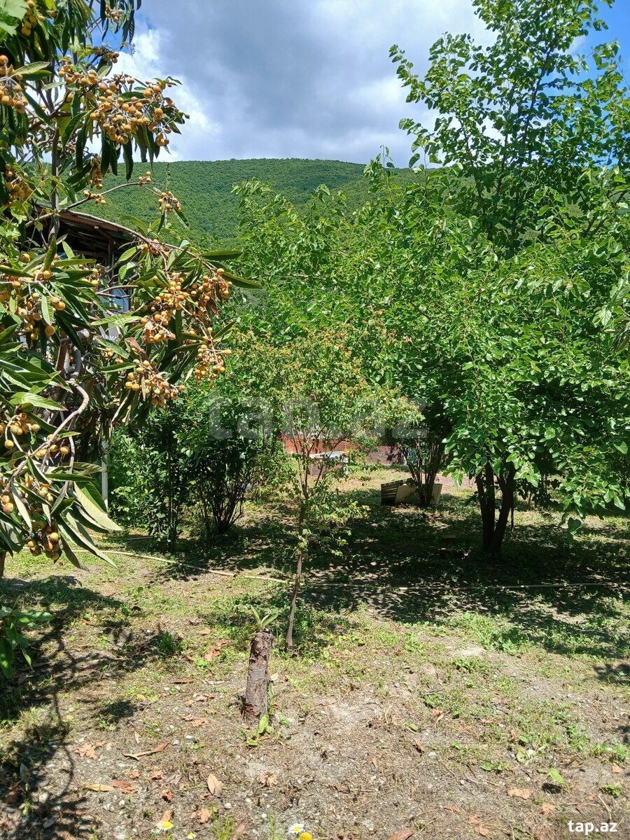 4 sot torpaq sahəsi, Şəki ş. (6)