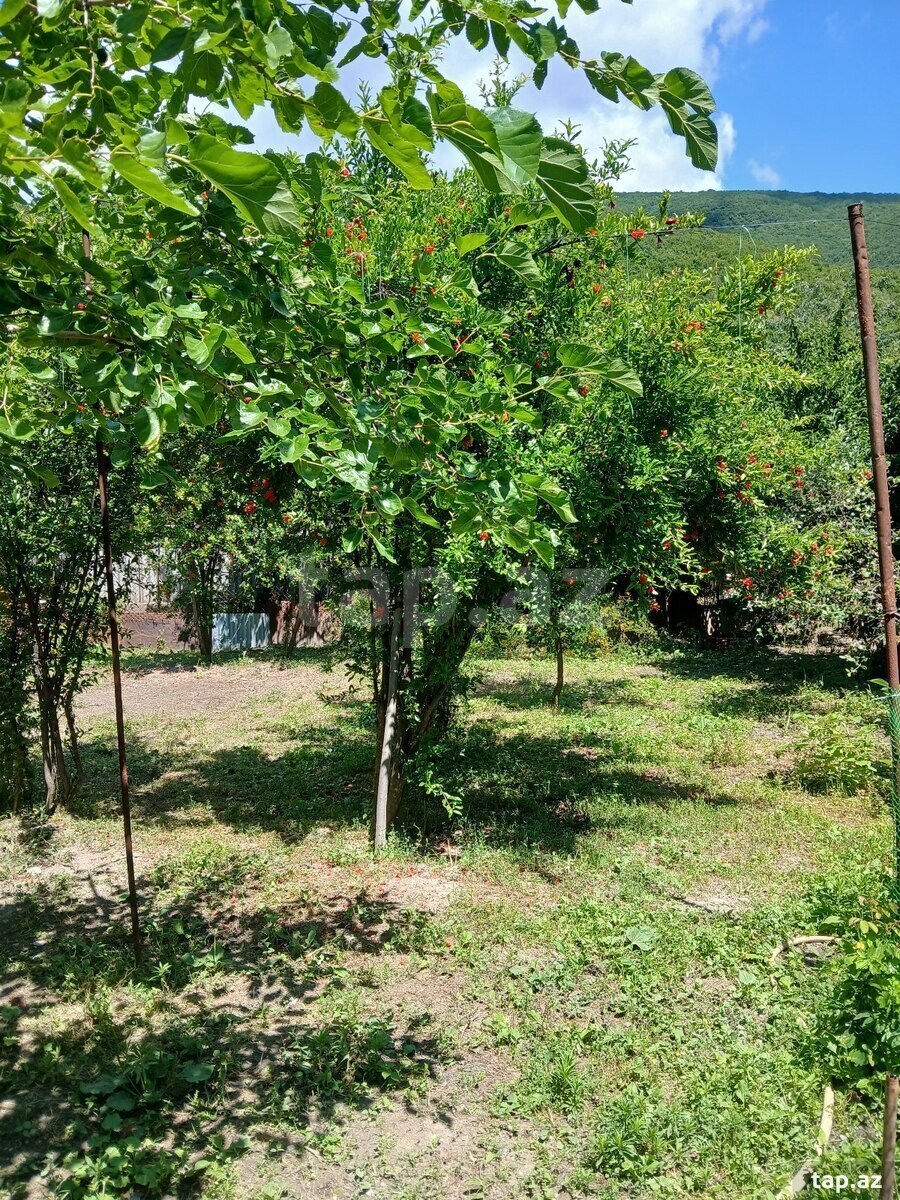 4 sot torpaq sahəsi, Şəki ş. (5)