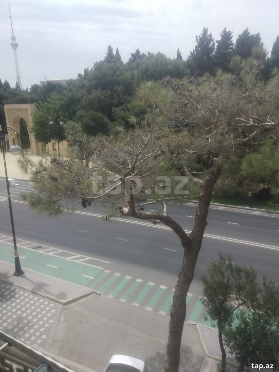 2-otaqlı mənzil kirayə verilir, E. Akademiyası m., 45 m² (6)
