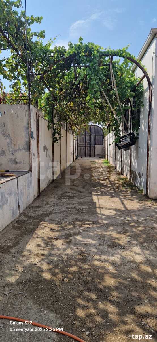 Bağ evi, Pirşağı kəndi