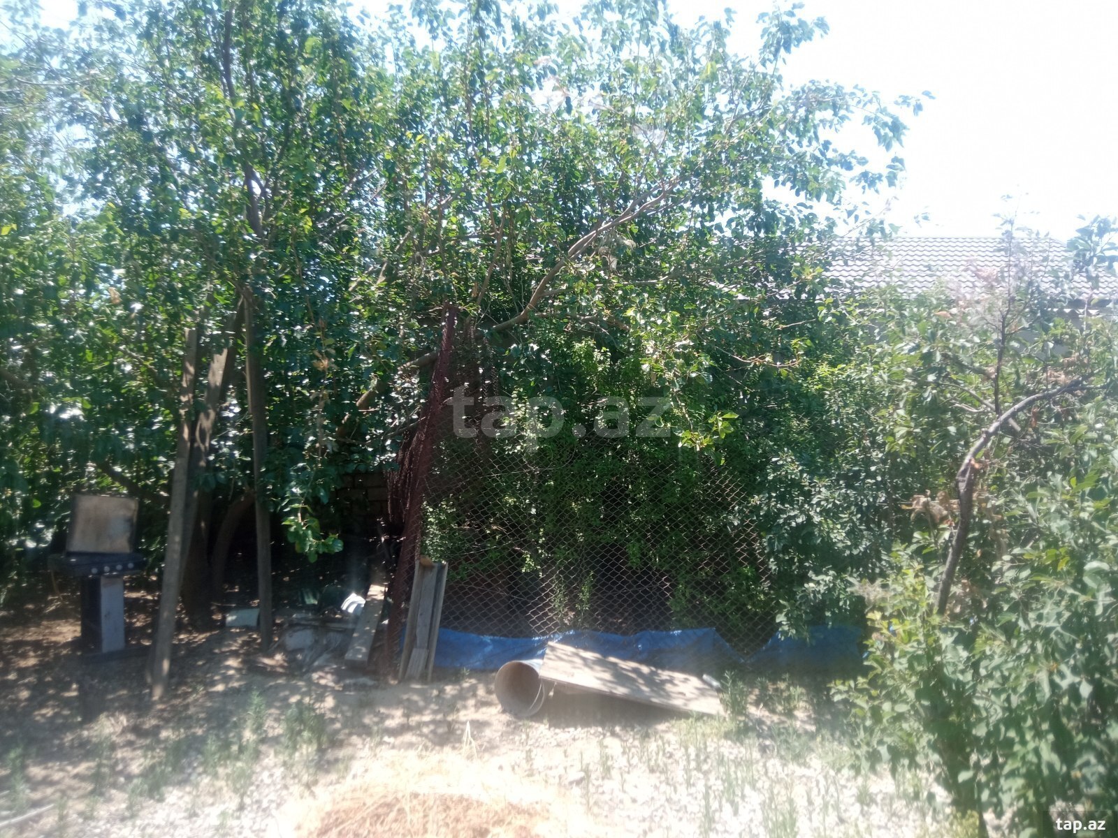 Bağ evi, Novxanı qəs. (9)