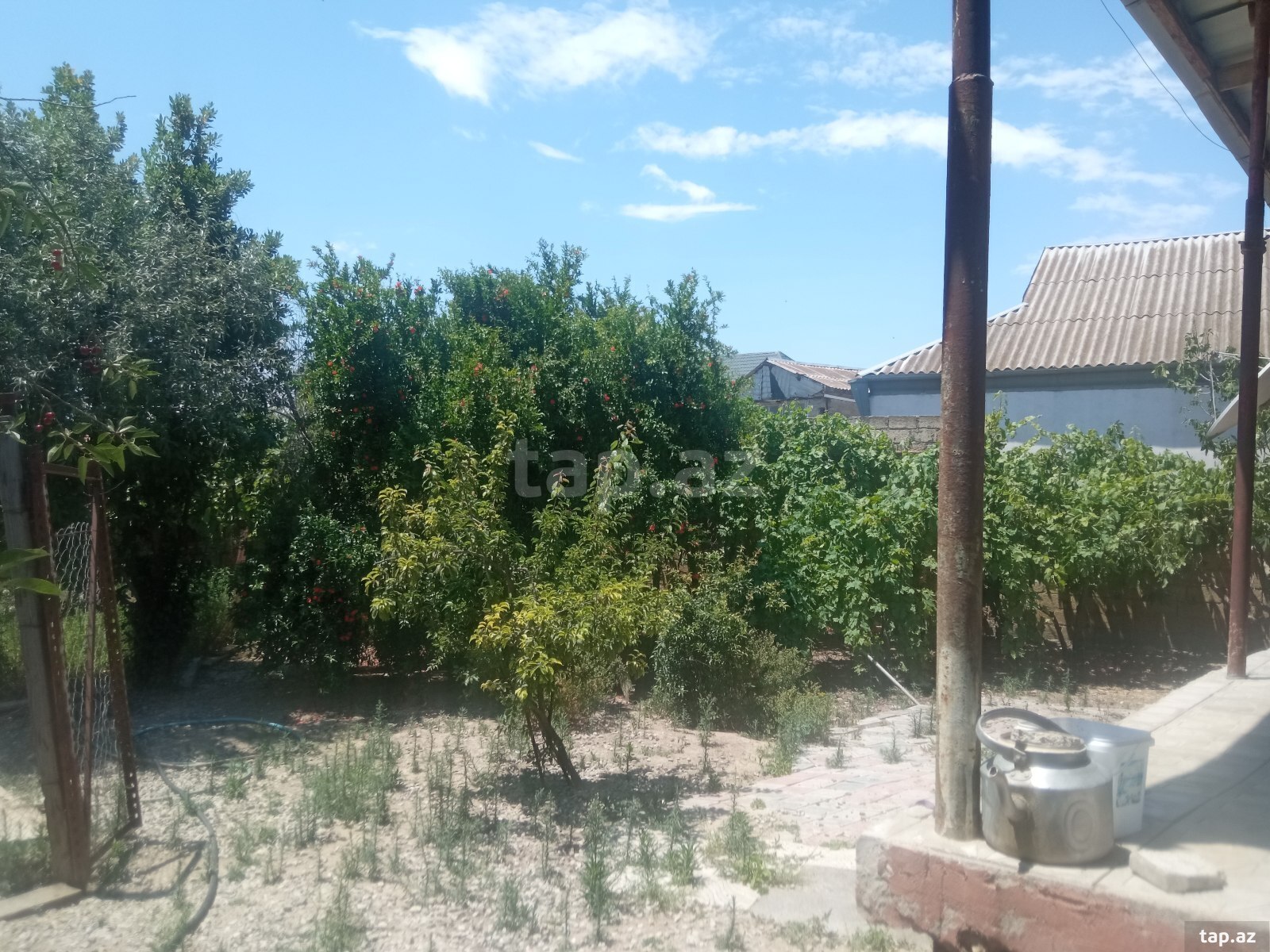 Bağ evi, Novxanı qəs. (7)