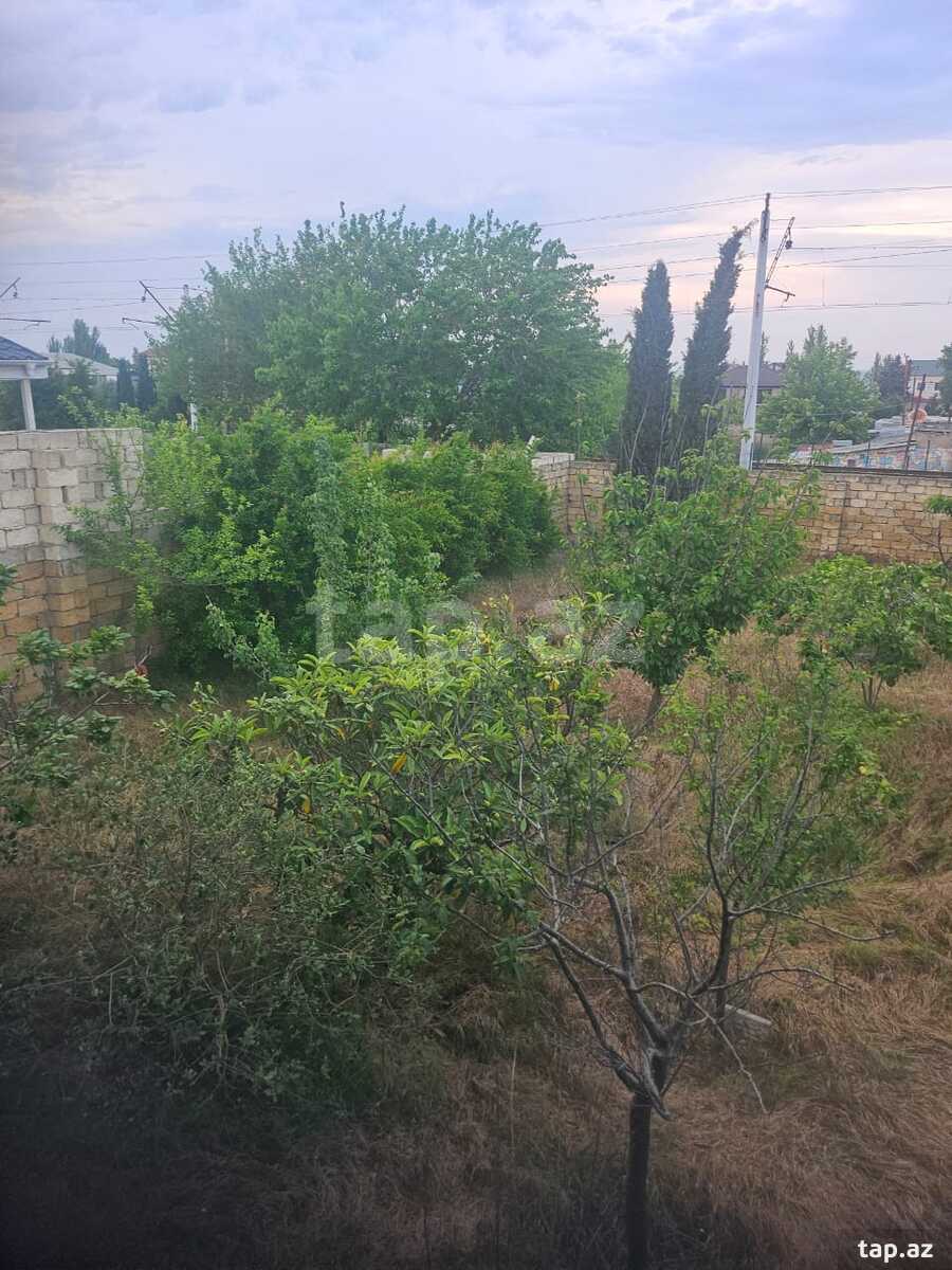 Həyət evi, Novxanı bağları (11)