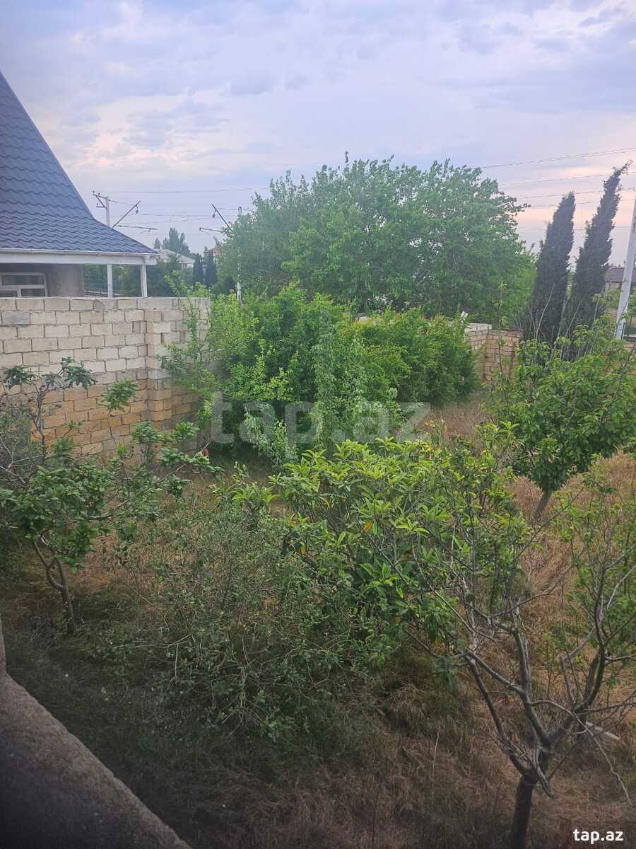 Həyət evi, Novxanı bağları (12)