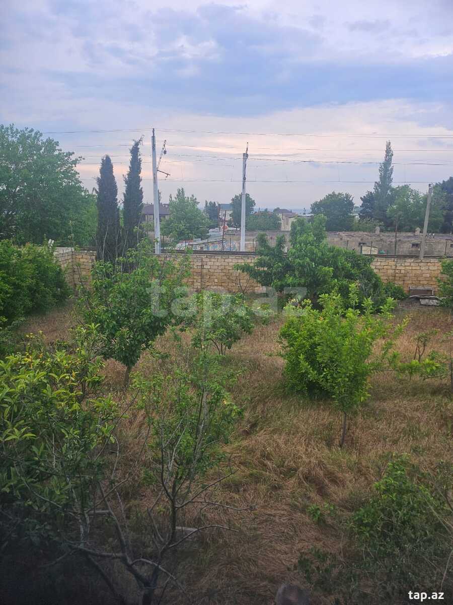 Həyət evi, Novxanı bağları (14)