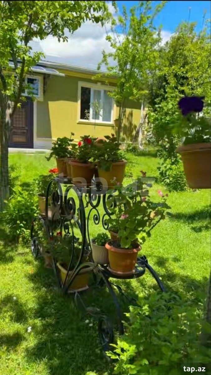 Həyət evi kirayə verilir, Qəbələ ş. (3)