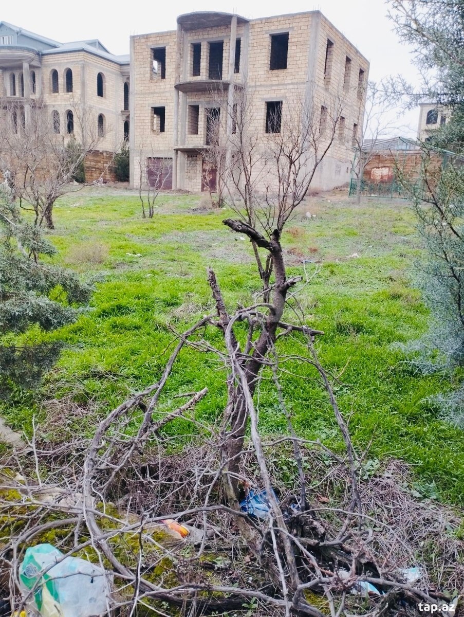 15 sot torpaq sahəsi, Səbail r (4)