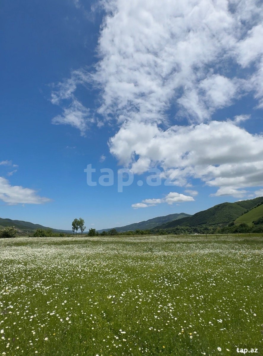 2 sot torpaq sahəsi, Qusar ş. (6)