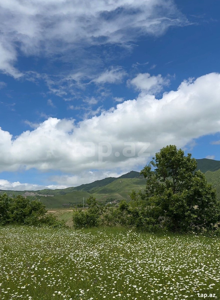2 sot torpaq sahəsi, Qusar ş. (5)