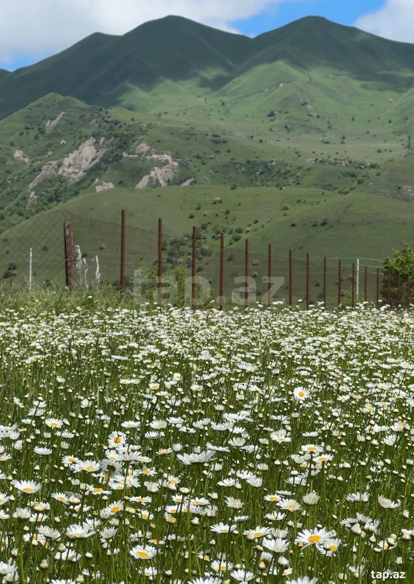 2 sot torpaq sahəsi, Qusar ş.