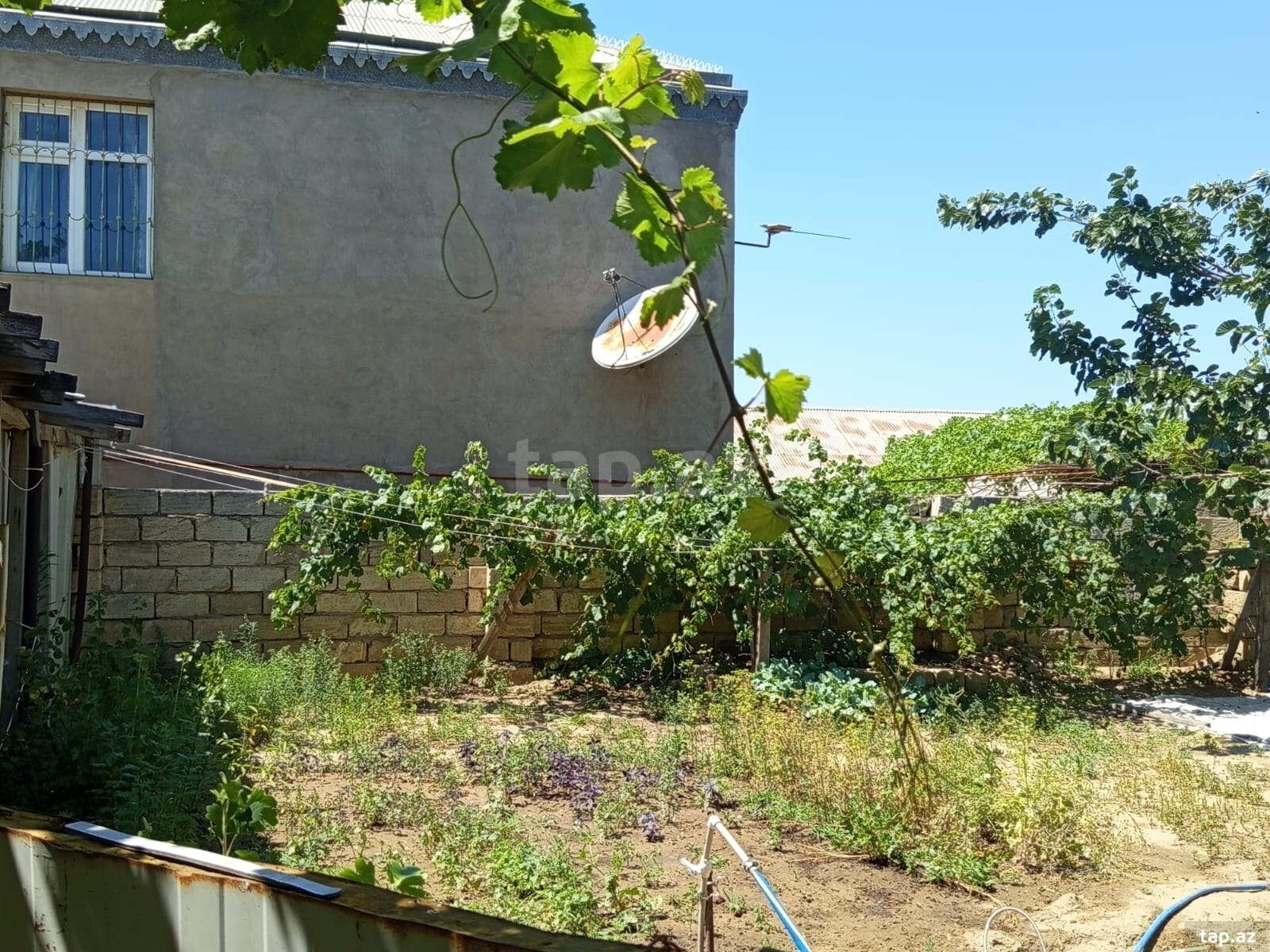 Bağ evi, Ceyranbatan qəs. (3)