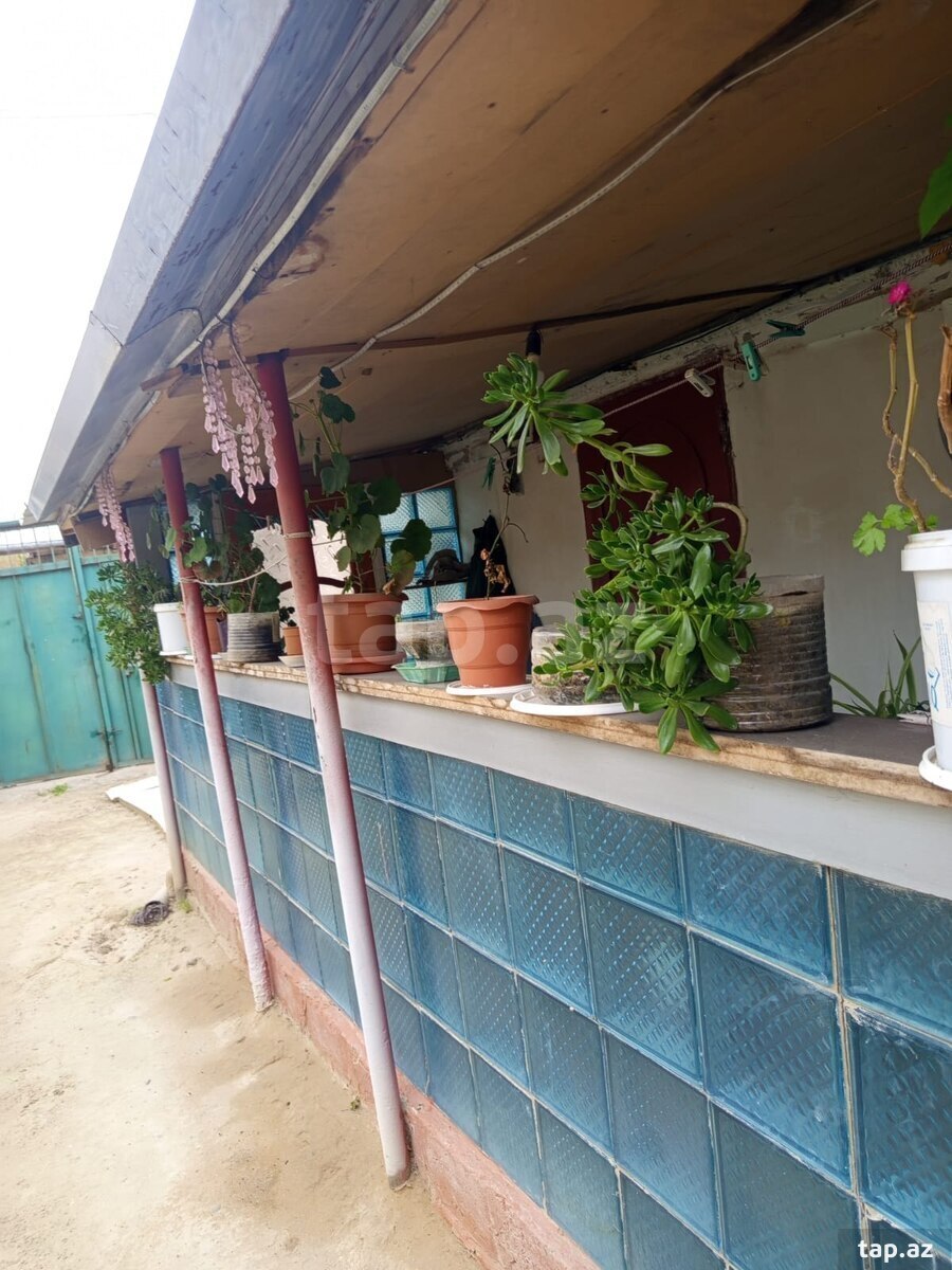 Bağ evi, Ceyranbatan qəs. (29)