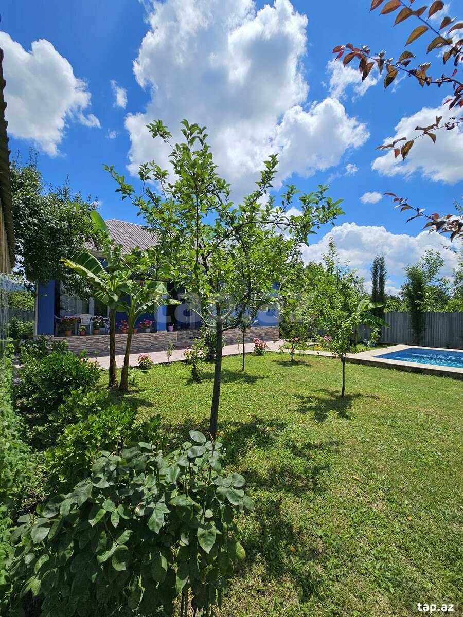 Həyət evi kirayə verilir, İsmayıllı r. (7)