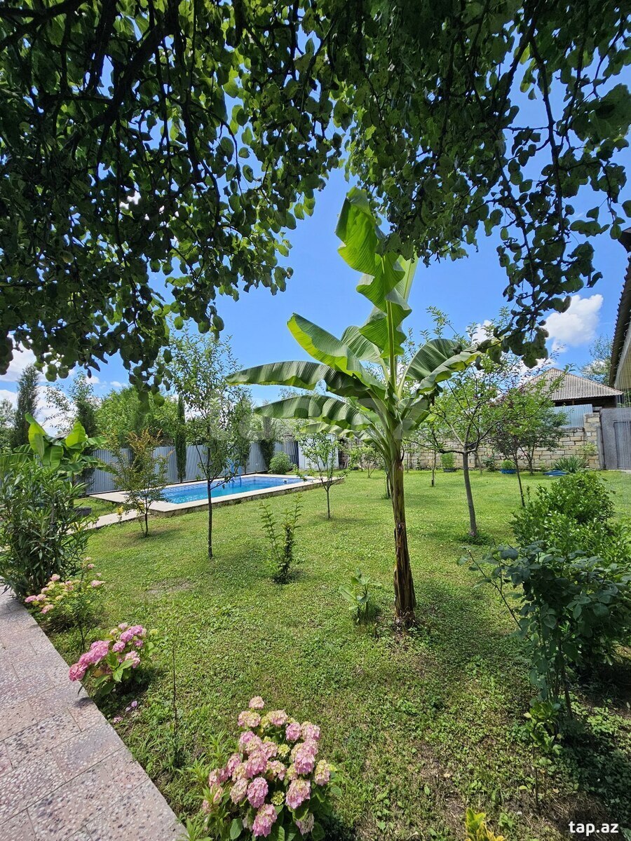 Həyət evi kirayə verilir, İsmayıllı r. (27)