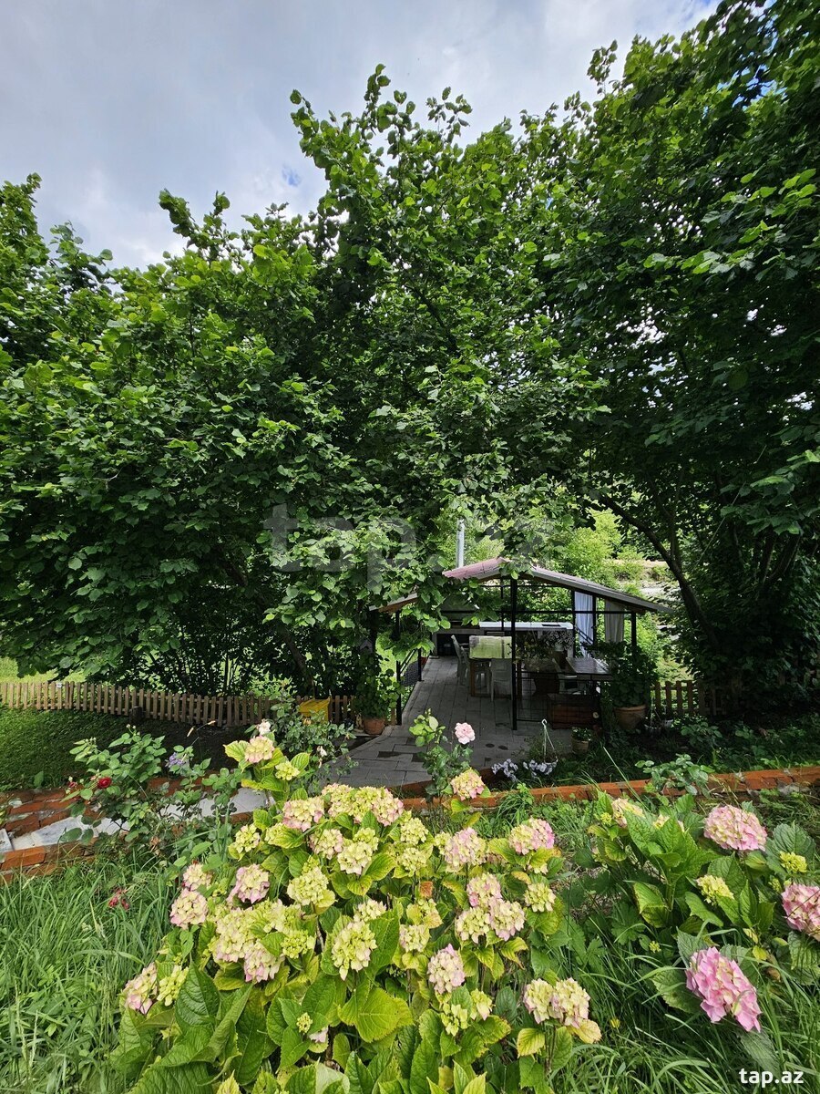 Həyət evi kirayə verilir, İsmayıllı r. (35)